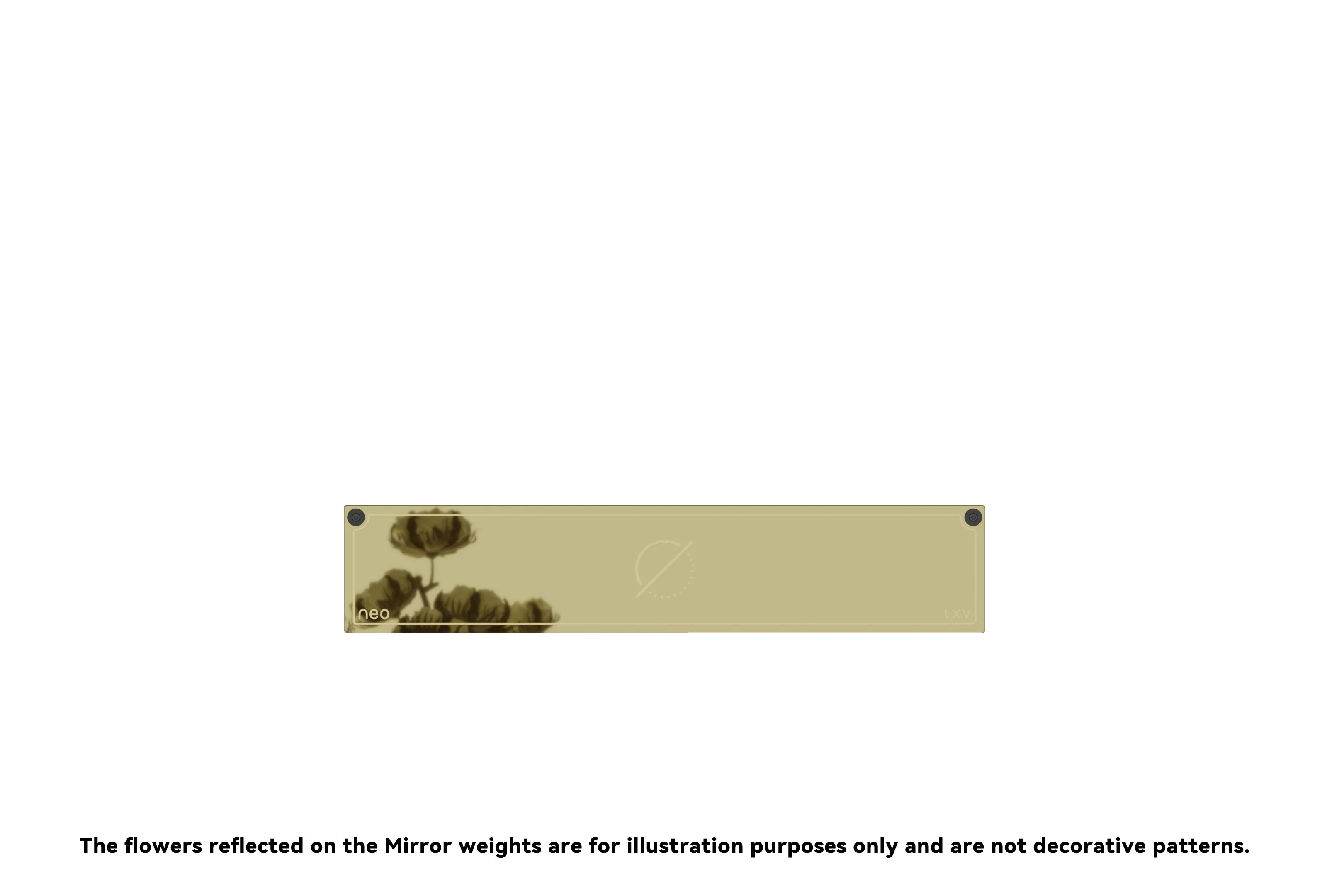 Thumbnail 17